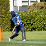 Fantasy Cricket Strategy