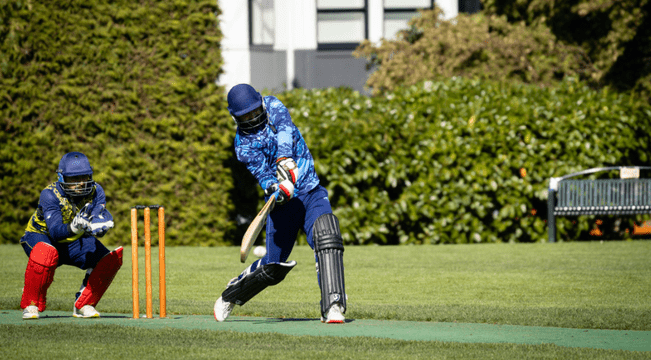 Fantasy Cricket Strategy