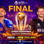 India vs New Zealand T20 final